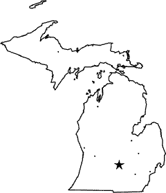 Michigan state weigh station map
